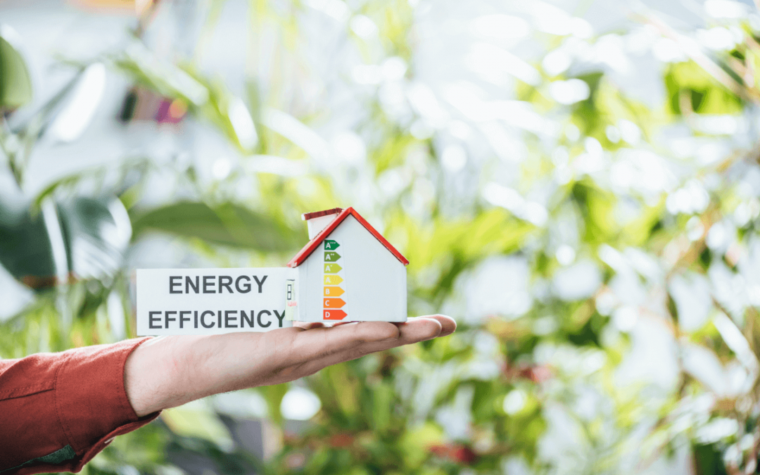 Eficiencia Energética. Demanda Energética y Consumo Energético